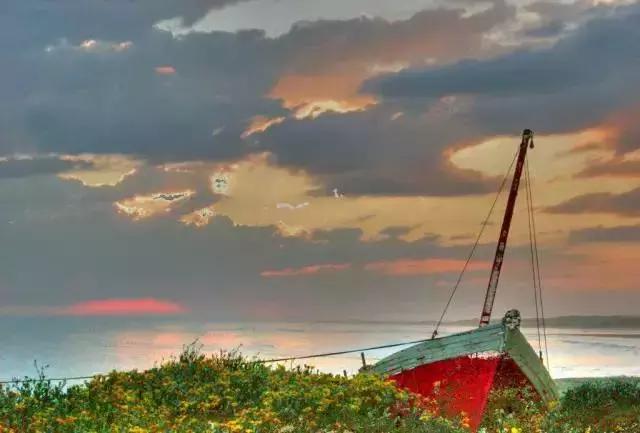 乌拉圭生活是什么样子的,乌拉圭怎么样