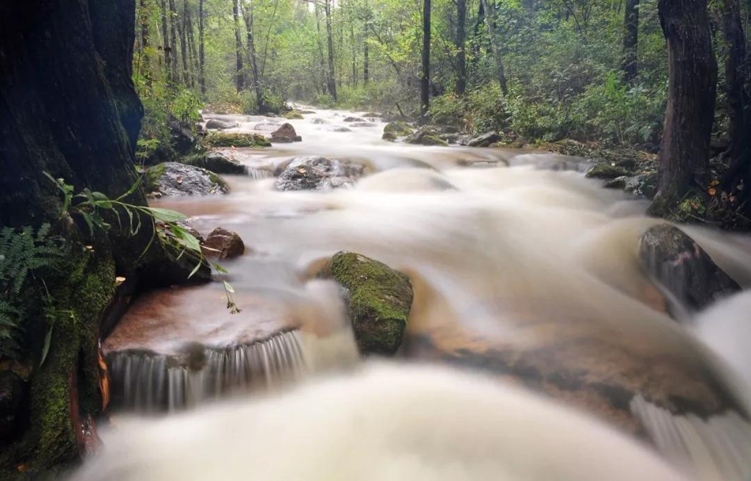 关于描写长江的诗句古诗大全,20首诗词带您领略中华最美长江