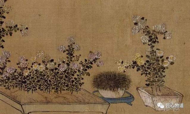 匠心物道王阳明视频,匠心物道新中式绿植