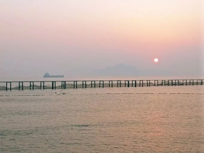 上海去桃花岛的自驾轮渡时间表,上海开车去舟山桃花岛怎么去