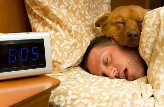 如何安全地与狗狗共眠？这6点很重要，别怪我没提醒