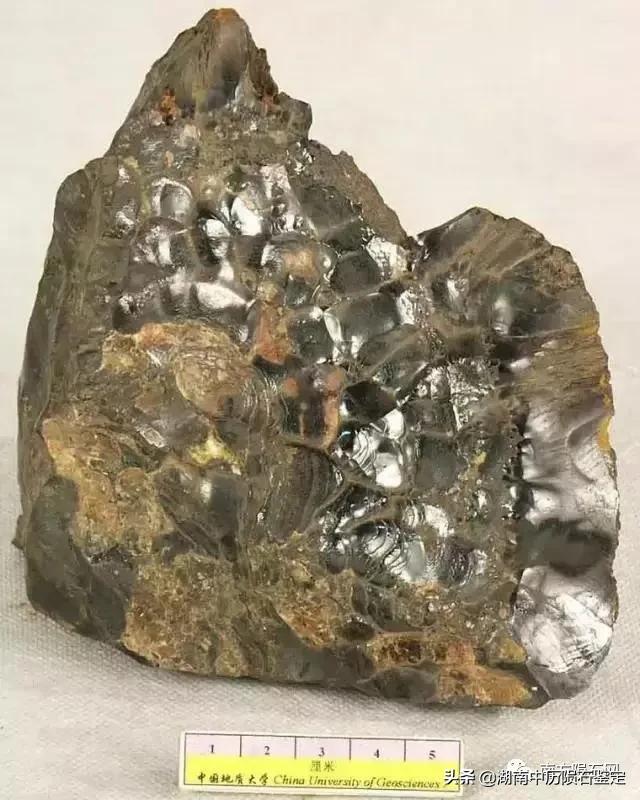 月球陨石与地球矿石的区别,月球陨石和矿石有什么区别