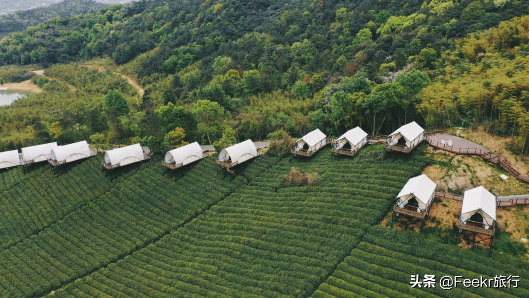 五一莫奈庄园一日游,五一不出游在家门口看风景