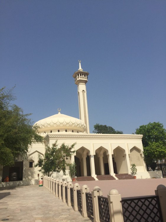 2020年加拿大签证中心办理动态,2020年新西兰临时签证政策