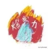 呼和浩特奶萌兽：足球摔跤样样行，体育课代表非它莫属！