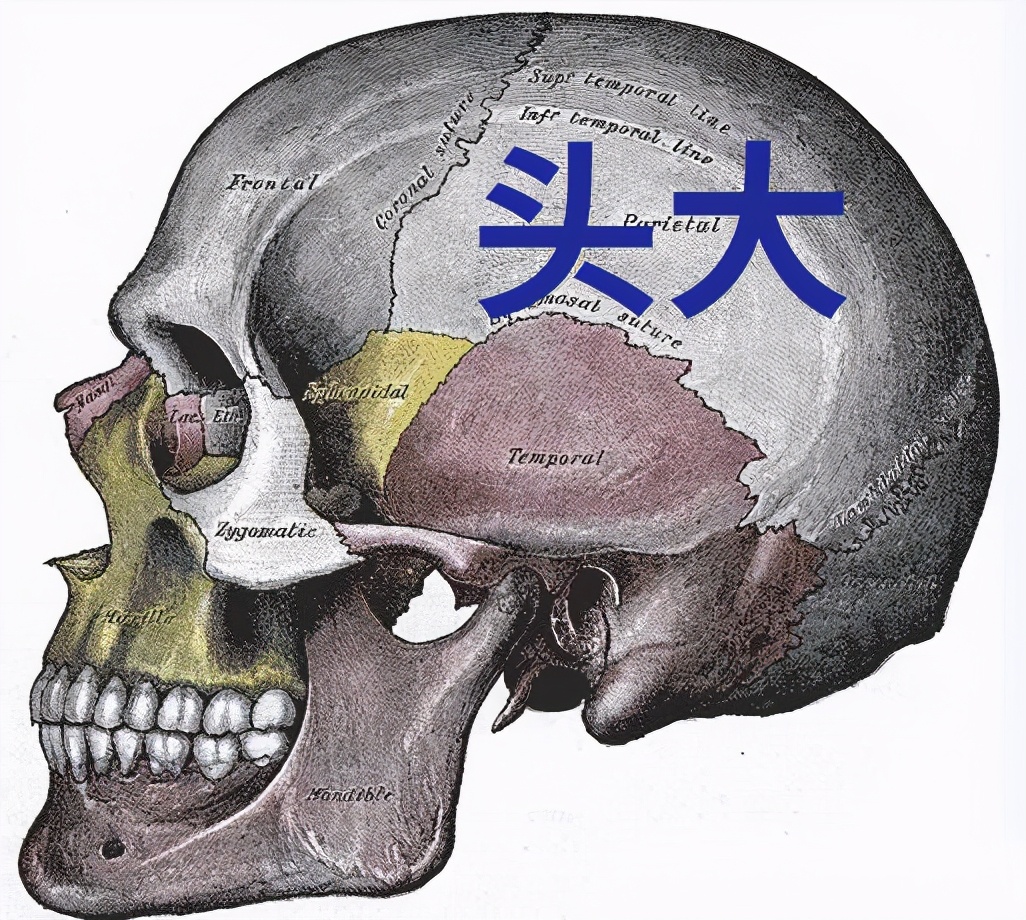 手机的最高峰值亮度有必要吗,各厂商手机峰值亮度