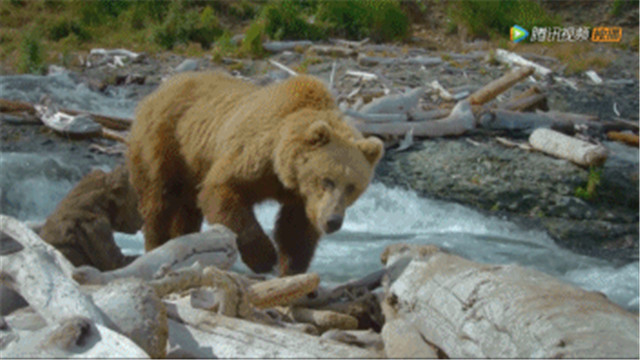 bbc有多有钱,bbc多有钱