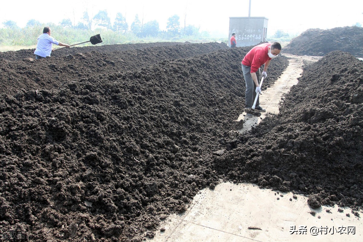 适合农村创业的29个项目,2022乡镇致富新项目