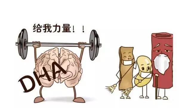 DHA补得越多宝宝越聪明吗,别帮宝宝瞎补dha方式正确才有用