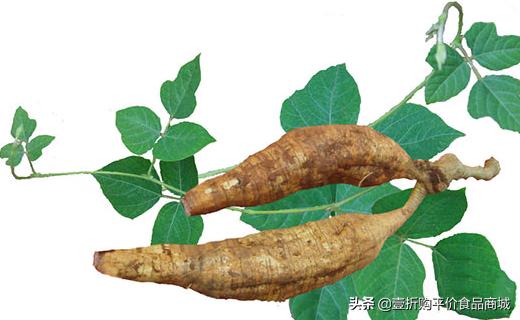 葛根有丰胸功效与作用吗,葛根丰胸功效与作用