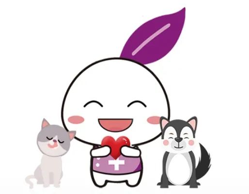 猫咪疯狂掉毛怎么回事,猫咪疯狂掉胡子