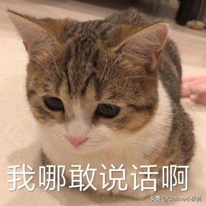 你们看对象手机都发现了什么,你在对象手机里看到过什么