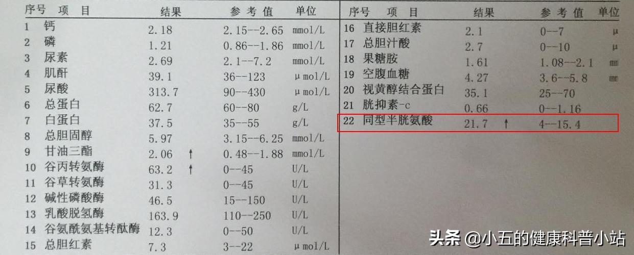 老年人为什么要吃叶酸有什么好处,老年人补充叶酸每片5mg每天服几片
