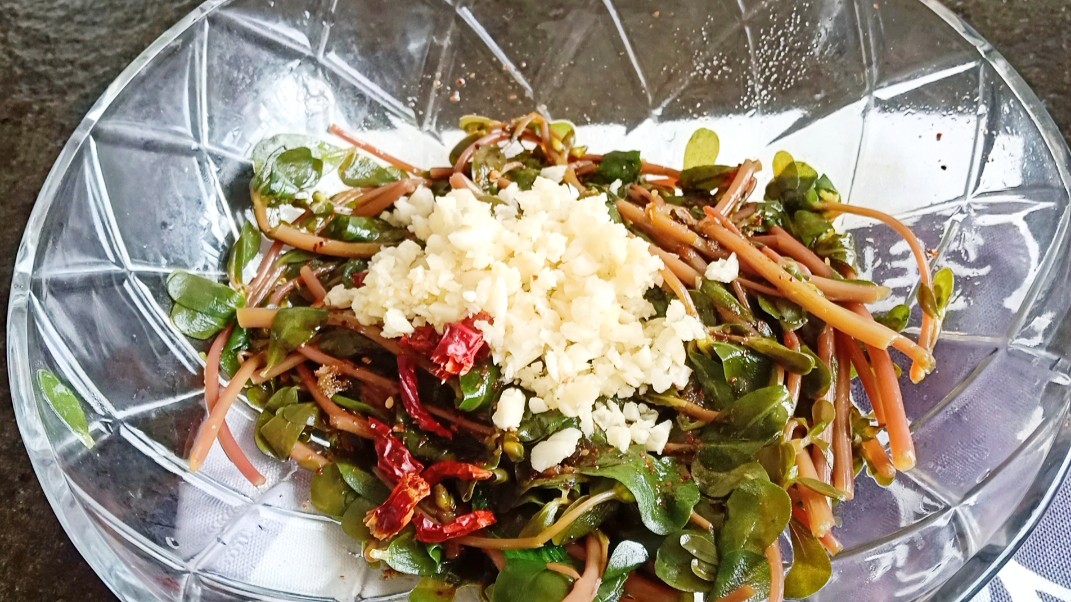 野菜马齿苋传统几种做法,马齿苋野菜做法大全