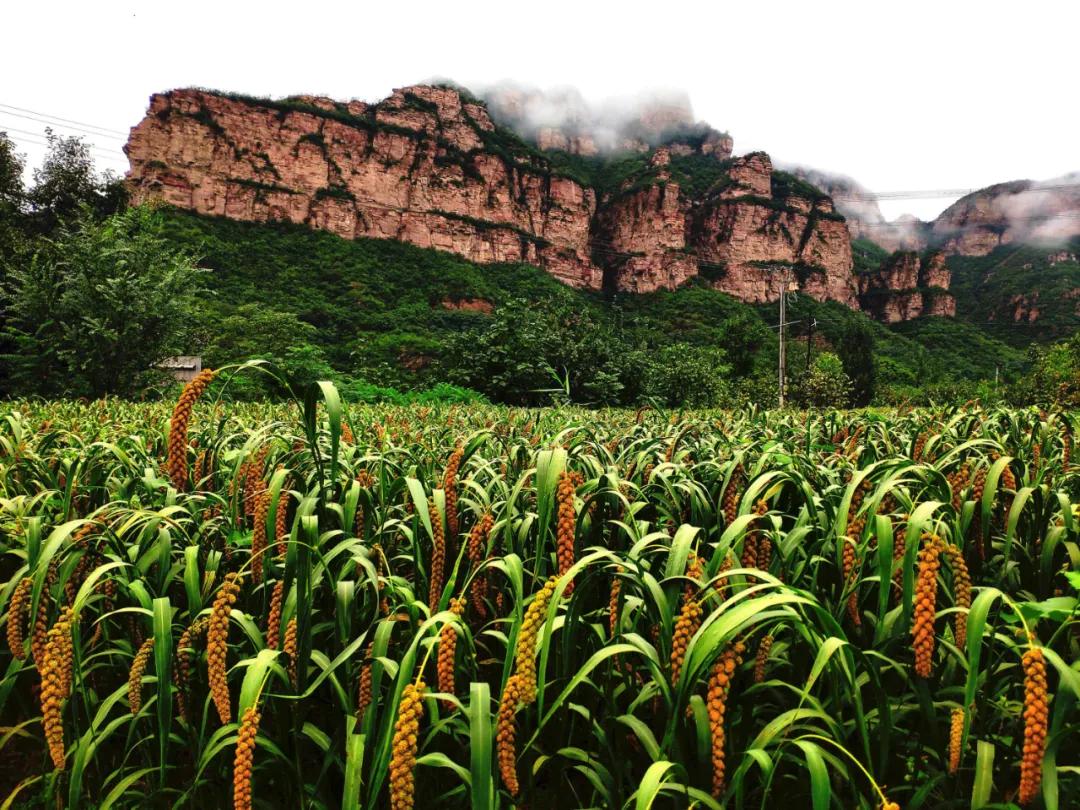 4年！196家门店！井陉人办的事！