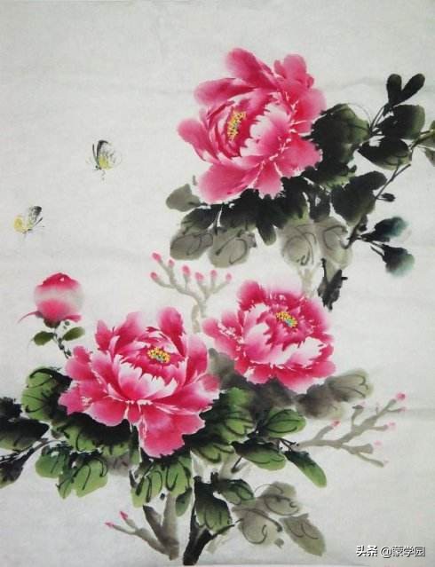 最知名的咏牡丹诗词有哪些,咏牡丹七绝最美