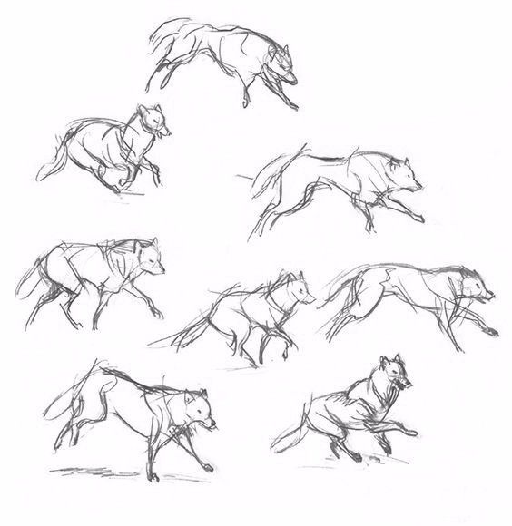 简笔画人物教程大全零基础成人,1000个适合零基础的简笔画教程