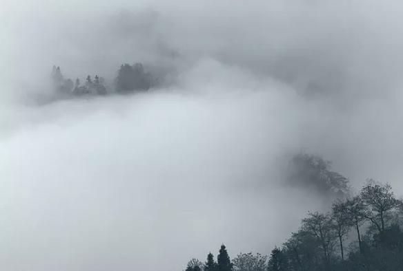 100句最经典的古诗词大全,100首顶级绝美古诗词及解析