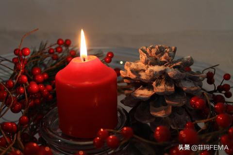 地球村除甲醛盒子辟谣,洋葱能除甲醛辟谣