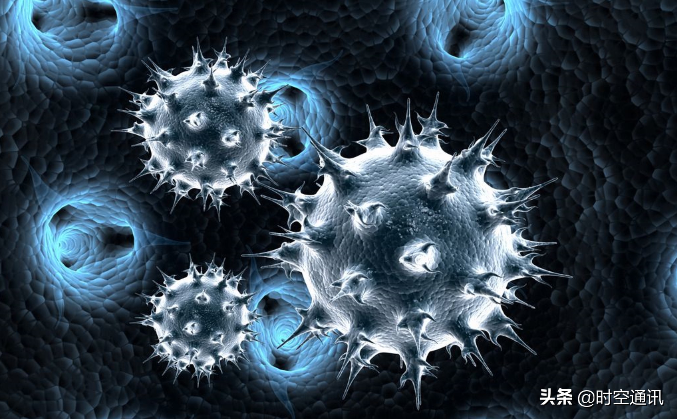 渺小的病毒可能是人类最大敌人，它们从哪里来到哪里去你知道吗？