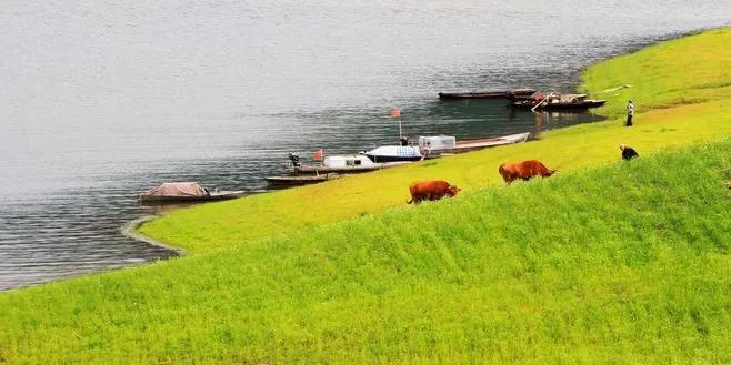 12条最美自驾线路,最美7条自驾游公路线路