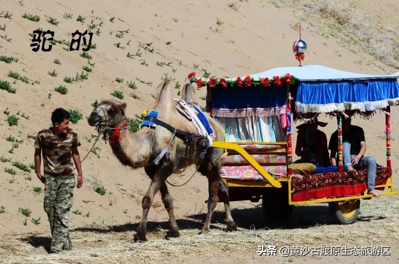 五一假期丨宁夏黄沙古渡景区实惠好玩降物价！