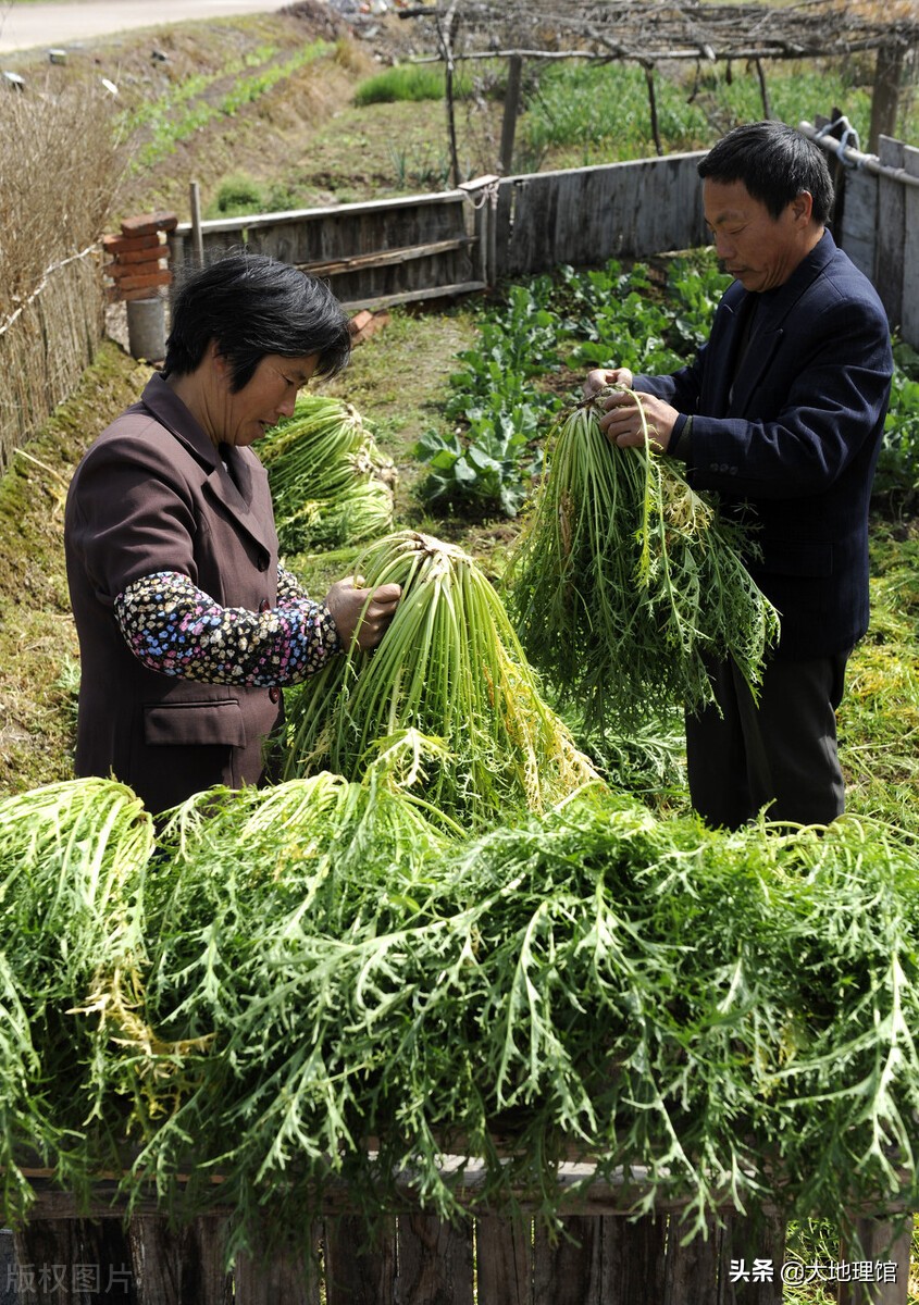 浙江永康是个什么样的城市,浙江永康为什么有那么多山