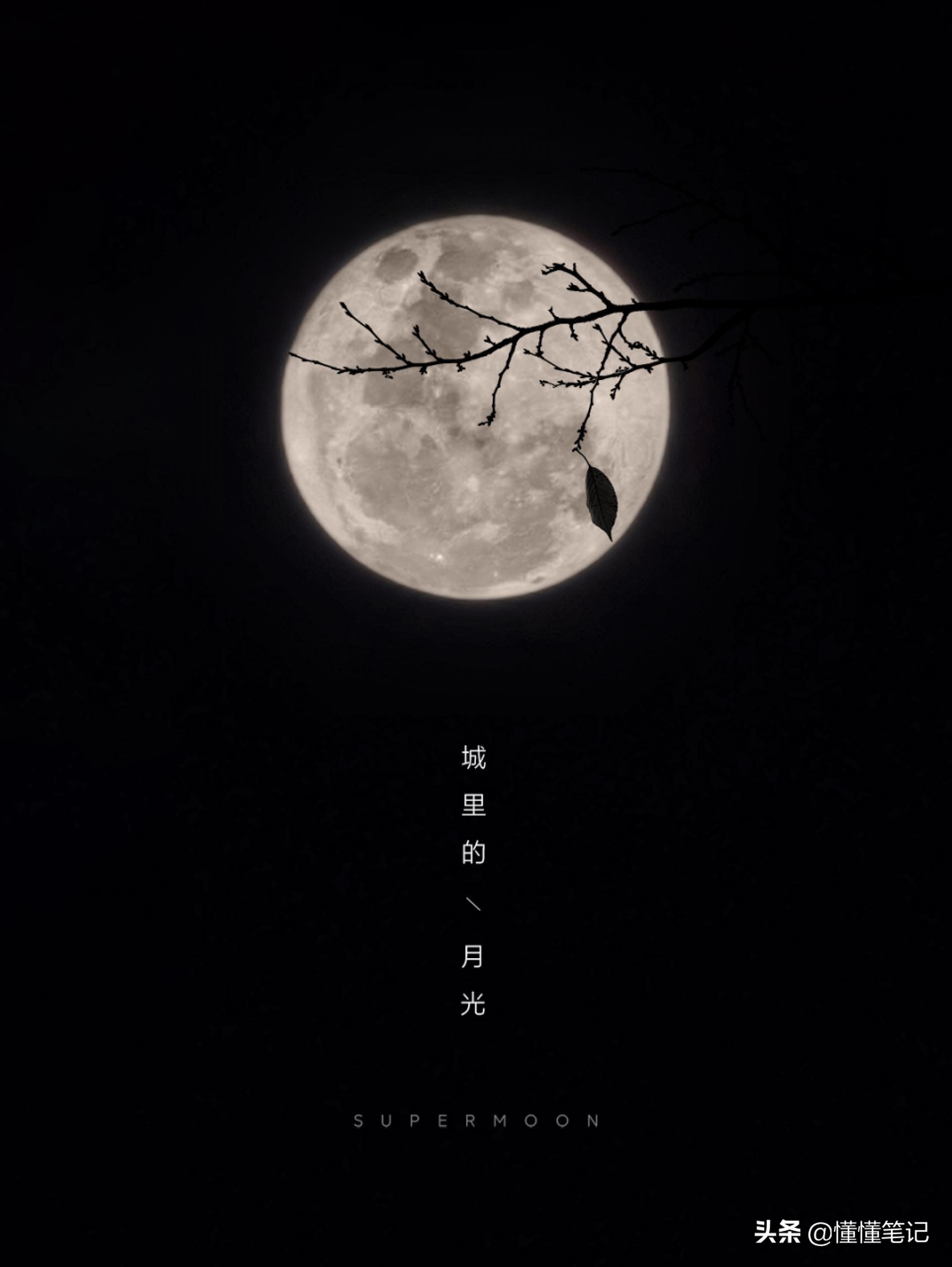 小米创业思考和参与感,小米的ai策略是什么