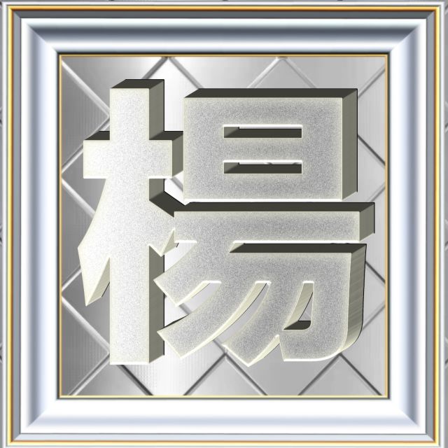 3D立体白金字体姓氏微信头像精选，超级棒