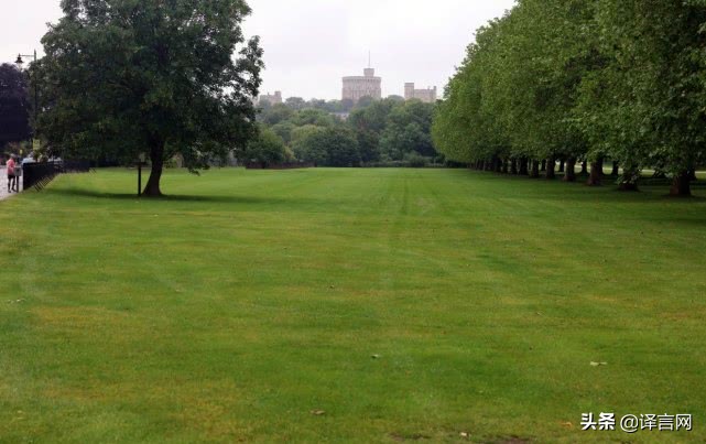 梅根的家不可侵犯：竟有人开着15辆车在梅根家附近扎营