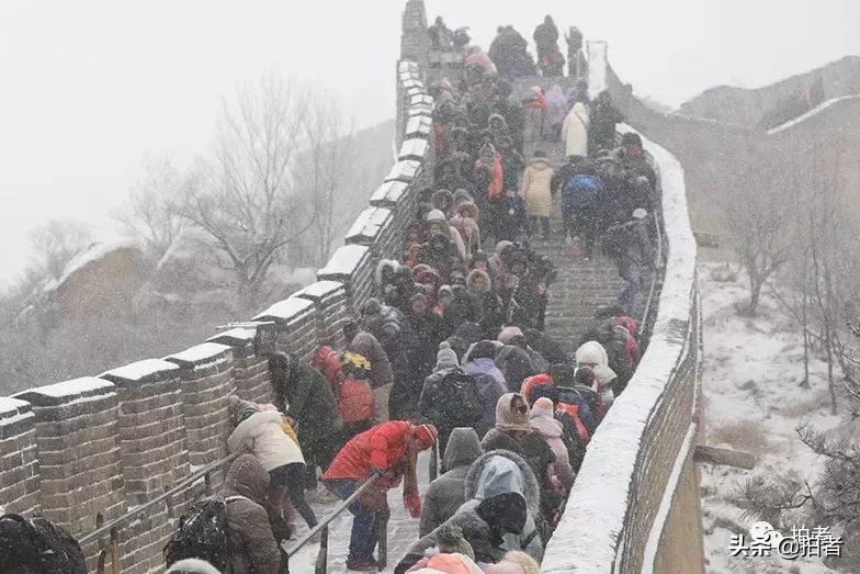 北京迎初雪9只熊猫,北京喜迎初雪去北京动物园看熊猫