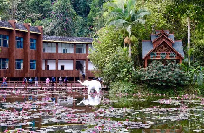 云南西双版纳幸福感,云南最有潜力的城市西双版纳