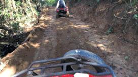 无法离昆，就地过年！昆明亲子游推荐路线重磅来袭！花样过牛年