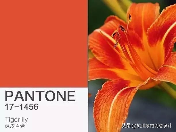 pantone2023流行色对冲色,2024pantone流行色色号