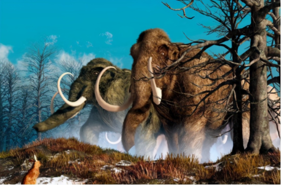 史前猛犸象有望复活,公元前2000年灭绝的猛犸象