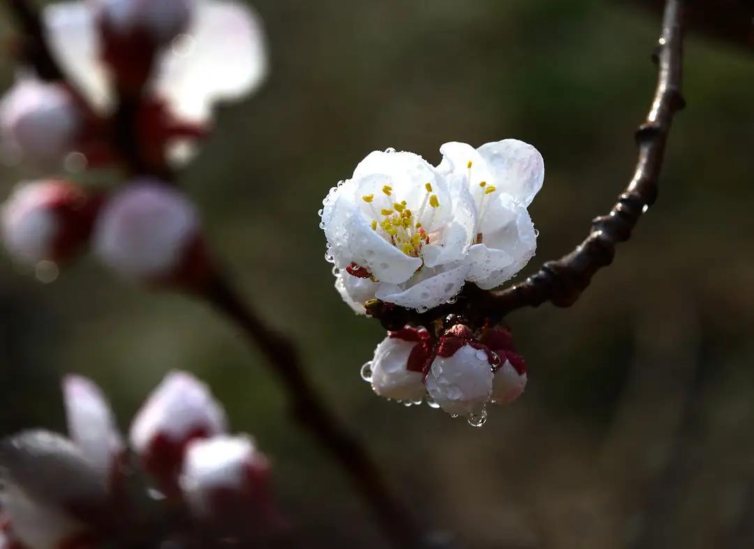 关于宋朝的哲理诗有哪些,宋朝有意境的经典诗句