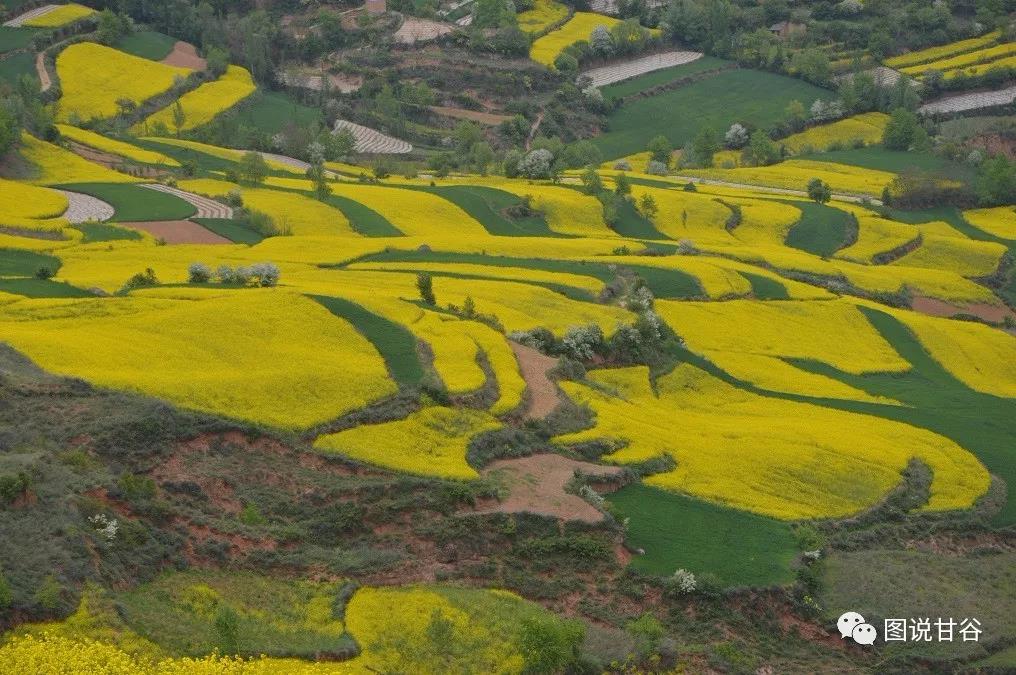 甘谷县记忆,甘谷历史馆