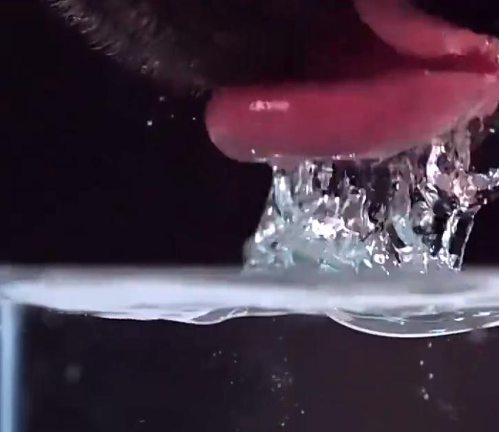 狗狗是如何用舌头喝水的,盘点狗狗各种姿势喝水