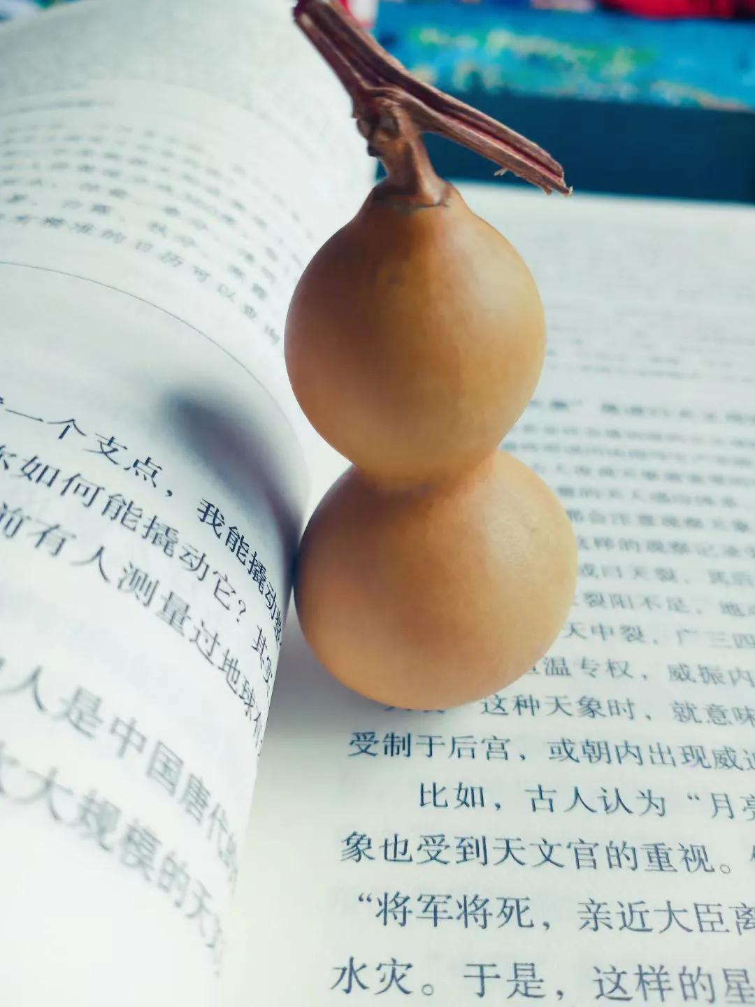 葫芦虽小藏天地，伴我云云万里身