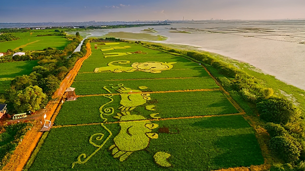 长三角城市群最佳旅游线路,长三角示范区旅游详细攻略