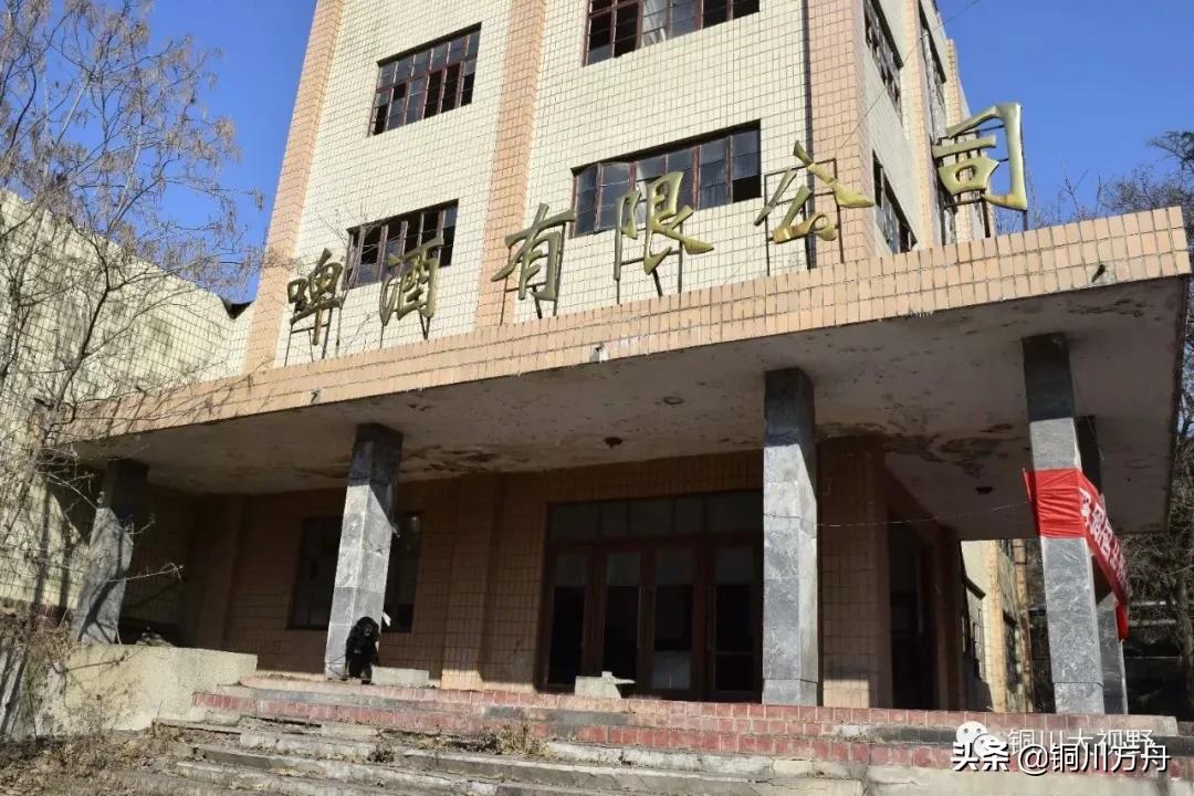 还记得当年啤酒的味道吗,铜川有什么啤酒品牌