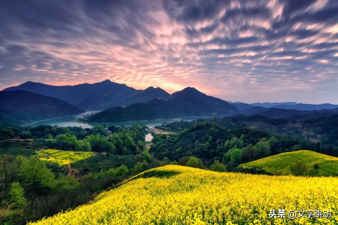 物极必反最深度好文,物极必反的好文