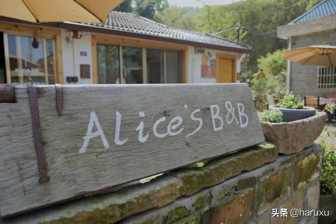 国庆节必打卡小众咖啡厅推荐,适合夏天打卡的咖啡馆推荐