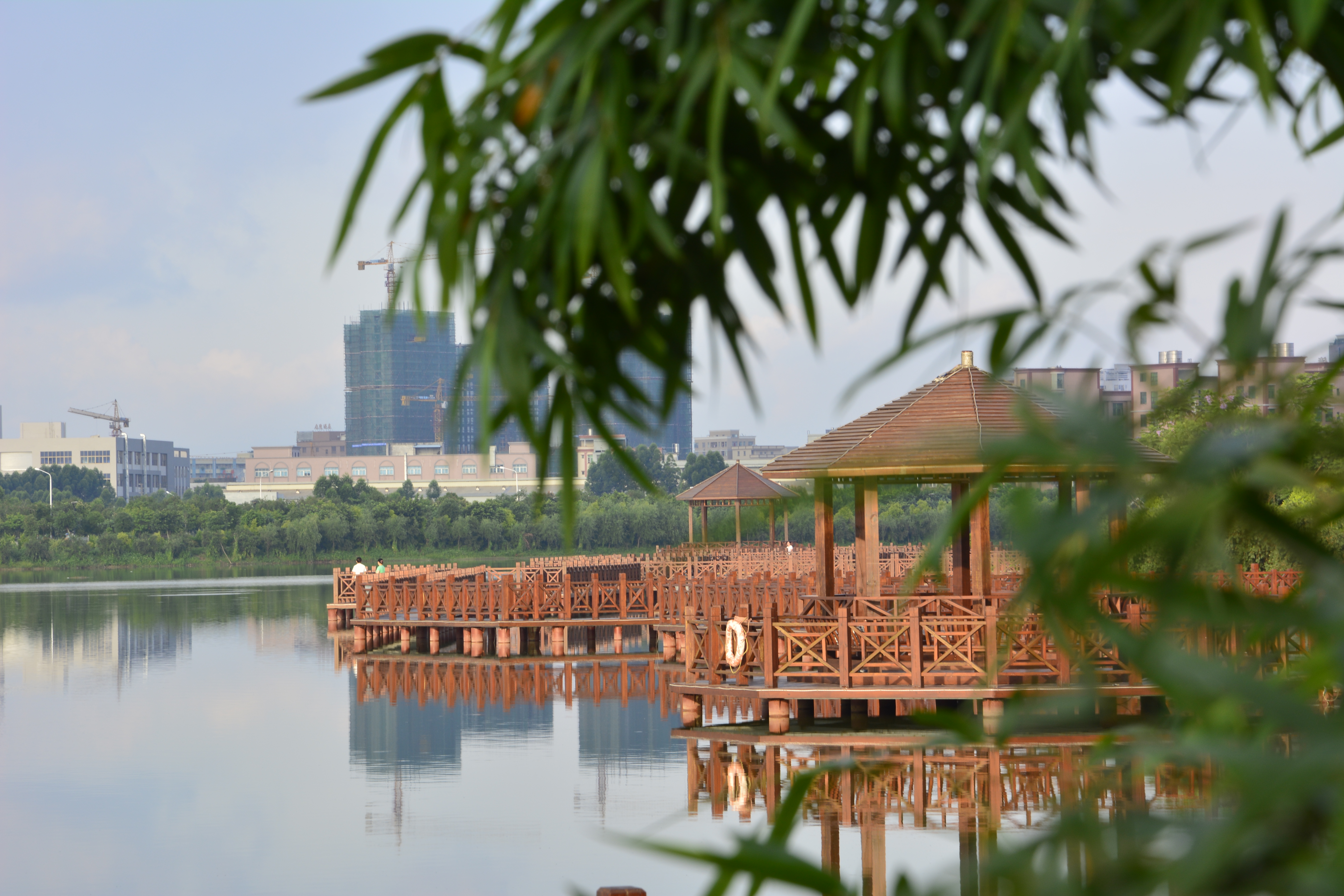 东莞农业园哪里好玩的,东莞生态农业园