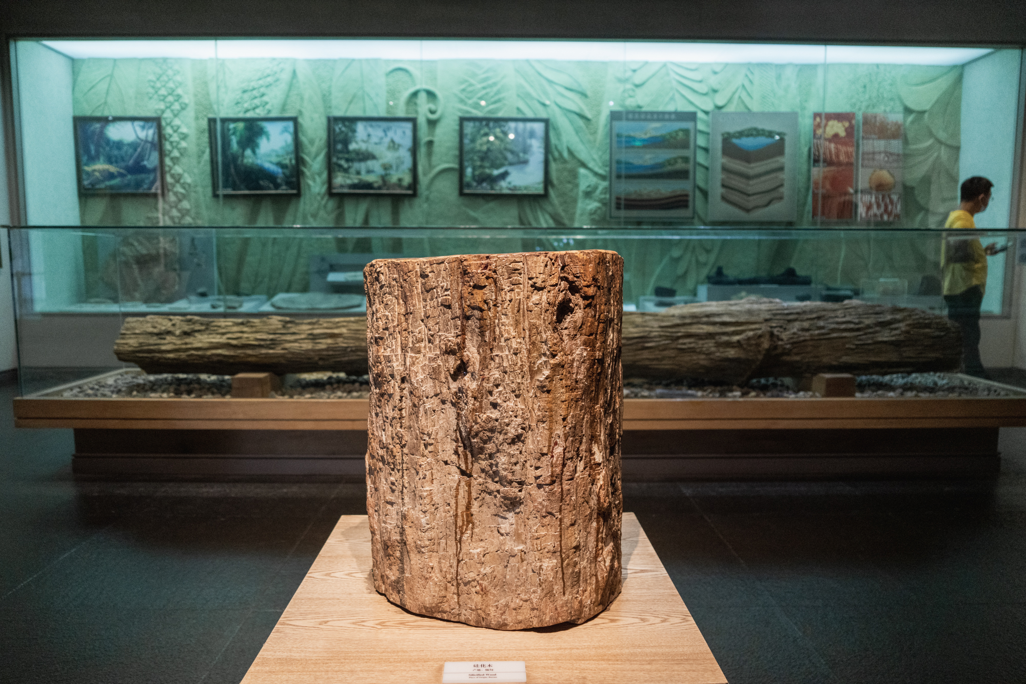 唐山适合1-4岁亲子游的地方,暑假遛娃旅游推荐唐山