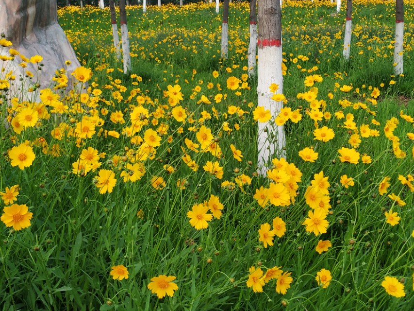风景优美闲暇好去处,下班休闲好去处