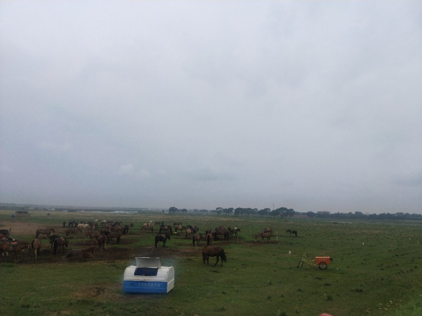 田园牧歌向往生活,田园牧歌的乡村生活令人心驰神往
