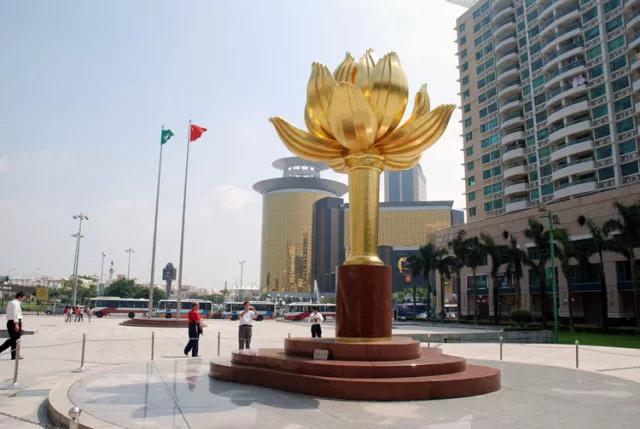 中国快递之快让全世界都惊呆了,中国桥梁为何惊呆了全世界