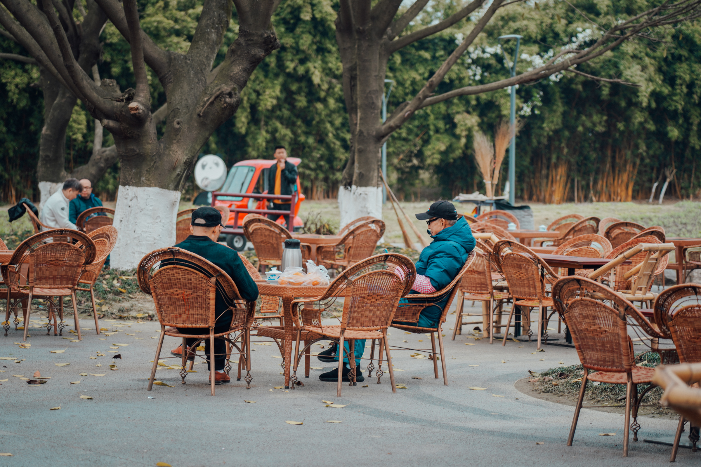 成都酒店大熊猫一日游,成都大熊猫繁育研究基地游玩攻略
