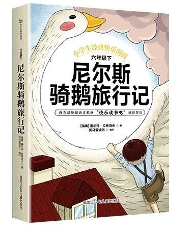 成都天府新区南湖小学,天府新区南湖小学